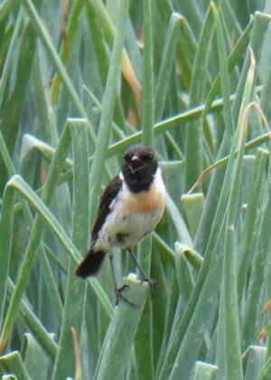 「女」を売ってきた人生に光を