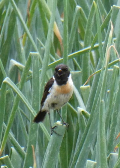 「女」を売ってきた人生に光を